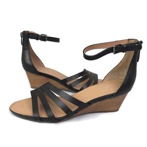 franco sarto dutch